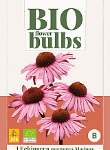 X 1 BIO ECHINACEA PURPUREA MAGNUS