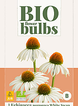 X 1 BIO ECHINACEA PURPUREA WHITE SWAN
