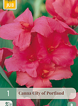X   1 CANNA CITY OF PORTLAND