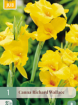 X 1 CANNA RICHARD WALLACE