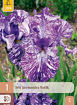 X 1 IRIS GERMANICA BATIK