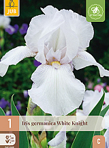 X 1 IRIS GERMANICA WHITE KNIGHT