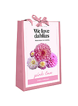 X 1 TAS 4 DAHLIA 'WE LOVE DAHLIAS' PINK LOVE