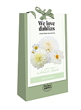X 1 TAS 4 DAHLIA 'WE LOVE DAHLIAS' WHITE LOVE
