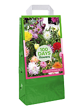 X 1 TAS 5 DAHLIA CACTUS MIX