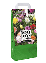 X 1 TAS 5 DAHLIA CACTUS MIX