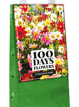 X 1 TAS 5 DAHLIA TOPMIX MIX
