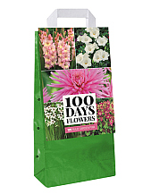 X 1 TAS 125 BULB GARDEN PINK VJ