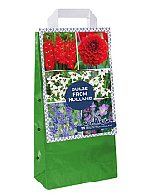 X 1 TAS 125 BULBS FROM HOLLAND VJ