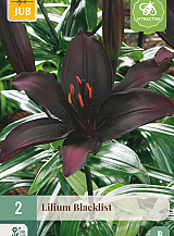 X 2 LILIUM BLACKLIST