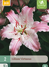 X 2 LILIUM VIRTUOSO