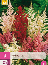 X 3 ASTILBE MIX