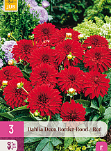 X 3 DAHLIA DECO BORDER ROOD