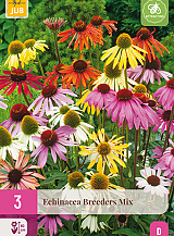 X 3 ECHINACEA BREEDERS MIX