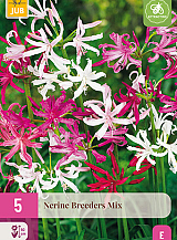 X 5 NERINE BREEDERS MIX