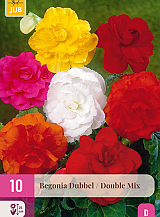X 10 BEGONIA DOUBLE MIX