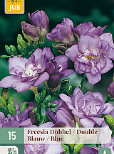 X 15 FREESIA DUBBEL BLAUW