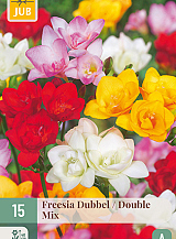 X 15 FREESIA DUBBEL MIX VJ
