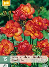 X 15 FREESIA DUBBEL ROOD