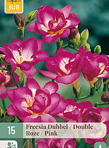X 15 FREESIA DUBBEL ROZE