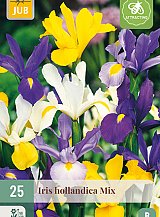 X 25 IRIS HOLLANDICA MIX VJ