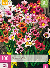 X 100 SPARAXIS MIX