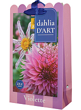 X 1 TAS DAHLIA D'ART 4 DAHLIA VIOLETTE