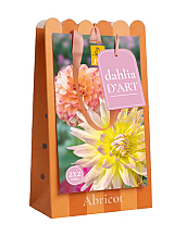 X 1 TAS DAHLIA D'ART 4 DAHLIA ABRICOT