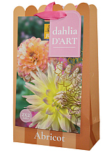 X 1 TAS DAHLIA D'ART 4 DAHLIA ABRICOT
