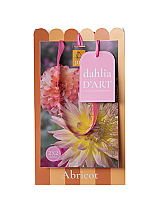 X 1 TAS DAHLIA D'ART 4 DAHLIA ABRICOT