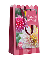 X 1 TAS DAHLIA D'ART 4 DAHLIA ROSE