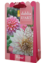 X 1 TAS DAHLIA D'ART 4 DAHLIA ROSE