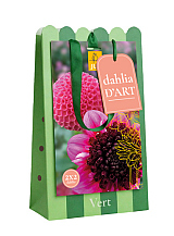 X 1 TAS DAHLIA D'ART 4 DAHLIA VERT