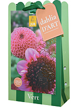 X 1 TAS DAHLIA D'ART 4 DAHLIA VERT
