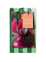 X 1 TAS DAHLIA D'ART 4 DAHLIA VERT