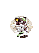 X NETLON 250 gr. KNOFLOOK MORADO