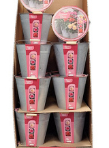 DEMIPALLET 24 EMMERS 3 DAHLIA SUMMER BLOOM