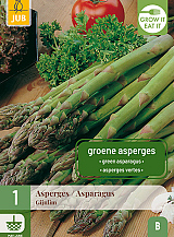 X 1 ASPARAGUS / ASPERGES GIJNLIM