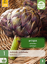 X 1 CYNARA SCOLYMUS