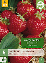 X 5 FRAGARIA / AARDBEIEN HONEOYE