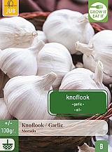 X 100 gr. KNOFLOOK MORADO