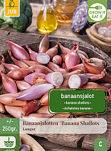 X 250 gr. SJALOTTEN LONGOR
