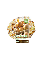 X NETLON 500 gr. PLANTUIEN STURON
