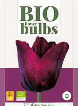 X   7 TULIPA RONALDO - BIO
