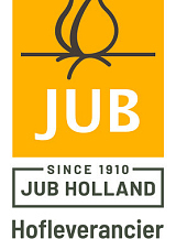 X 100 IRIS RETICULATA LOUISE