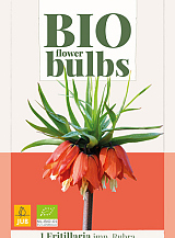 X   1 FRITILLARIA IMPERIALIS RUBRA - BIO