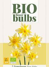 X   5 NARCISSUS NEW BABY - BIO