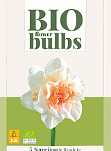 X   5 NARCISSUS REPLETE - BIO