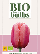 X   7 TULIPA DESIGN IMPRESSION - BIO