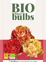 X   7 TULIPA GUDOSHNIK DOUBLE - BIO